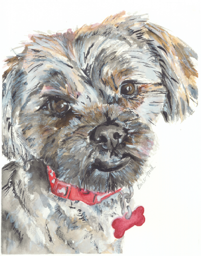 Black Dog with Red Coller.png