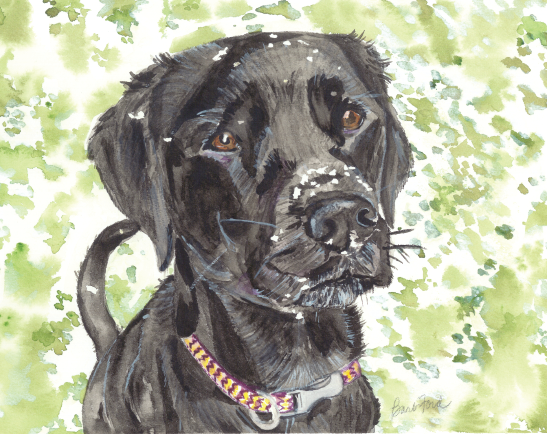 Black Lab.png
