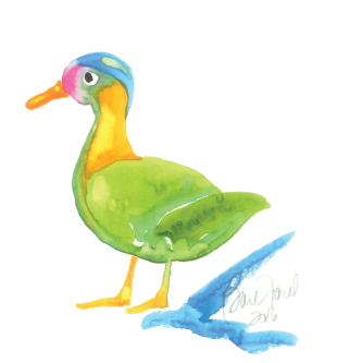 Blue Head Duck.png