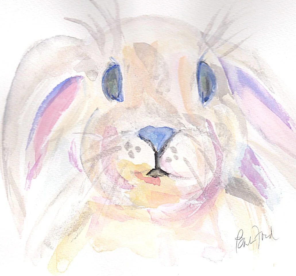 Bunny.jpeg