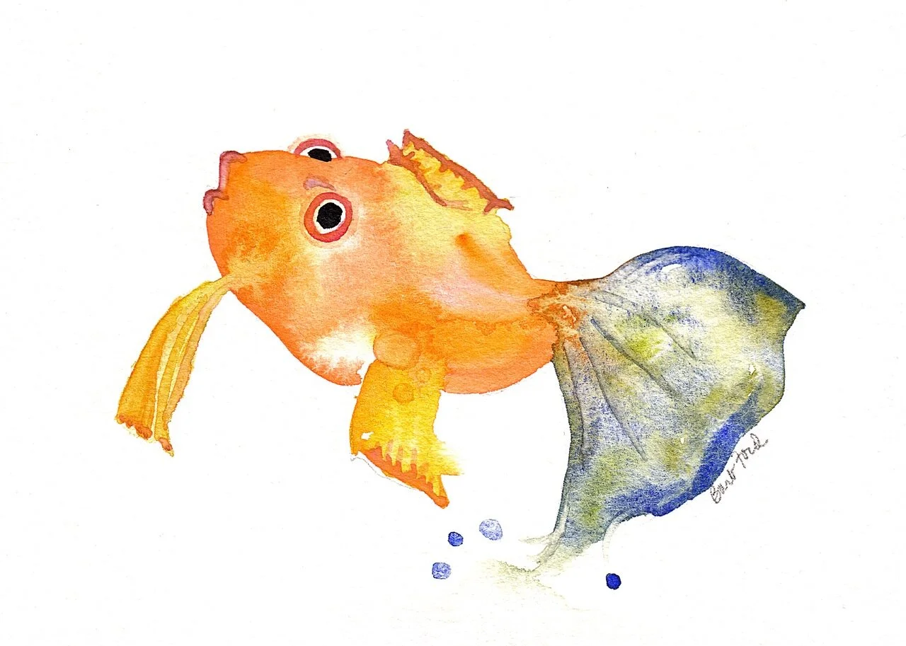 Gold Fish