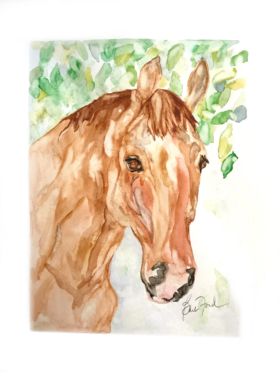 Horse Portrait.jpeg