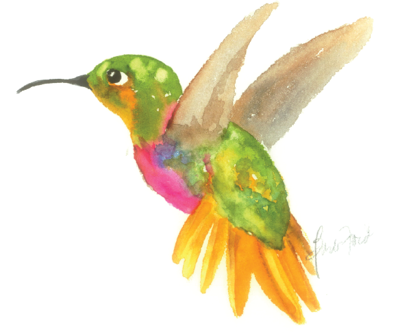 Hummingbird 1.png