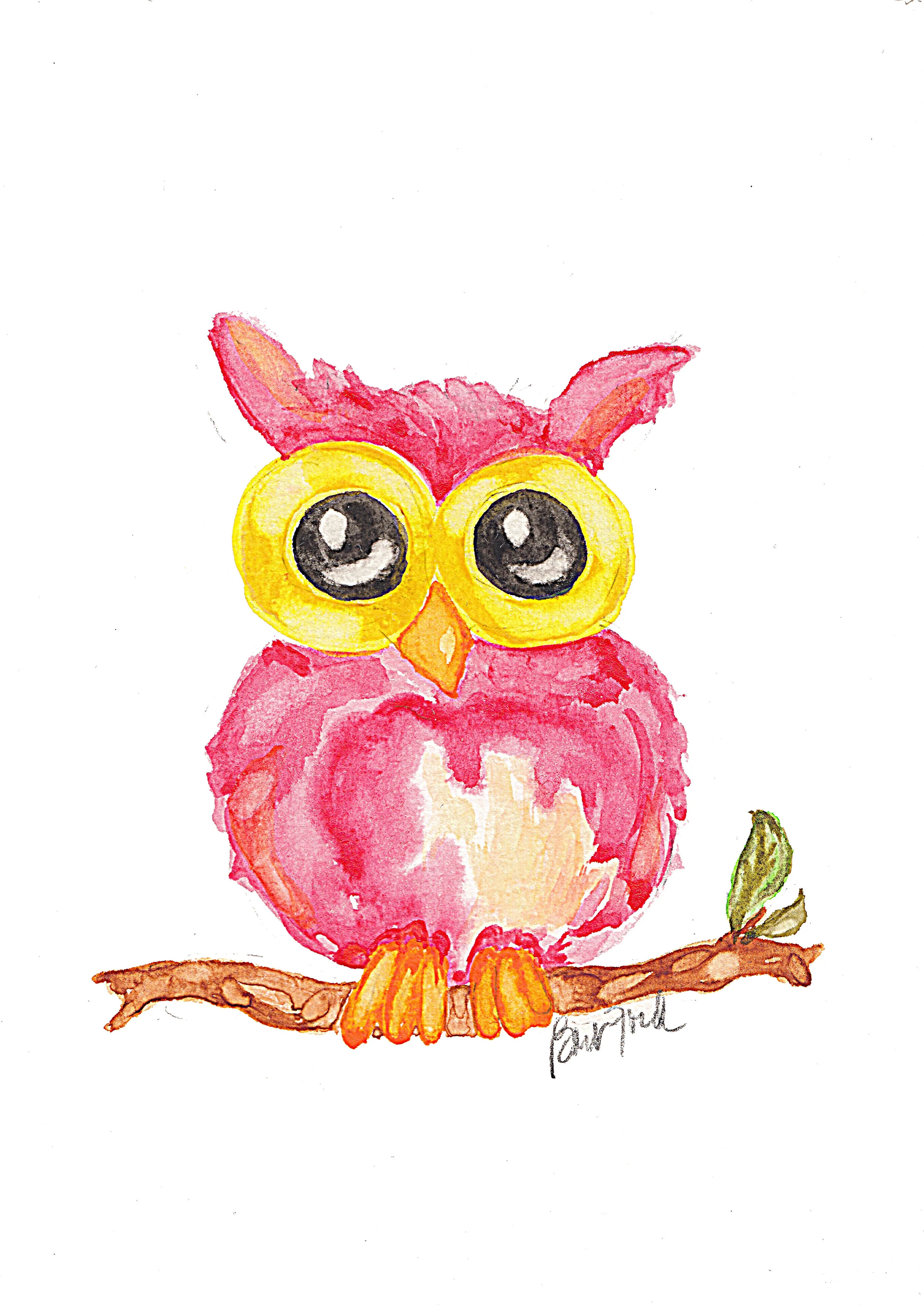 Owl on Branch.jpg