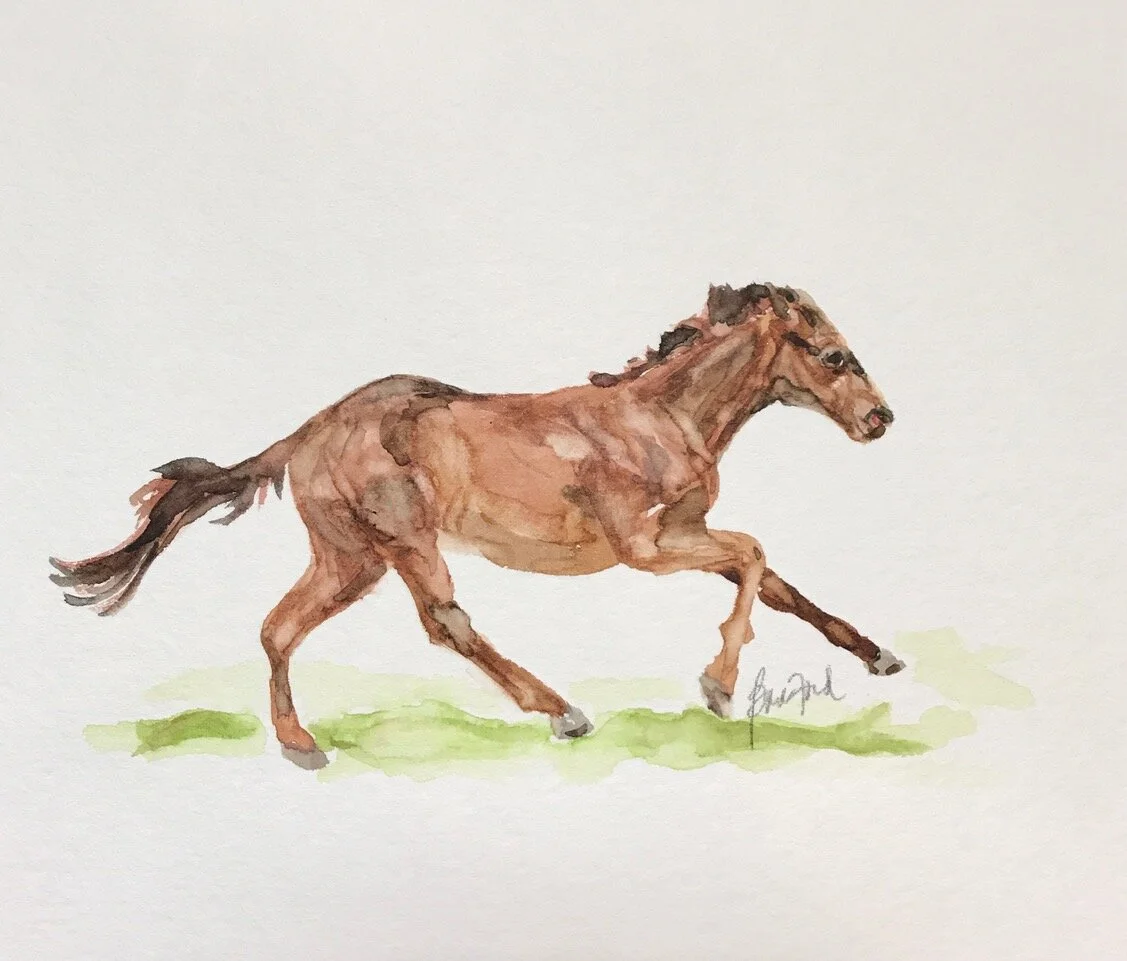 Race Horse