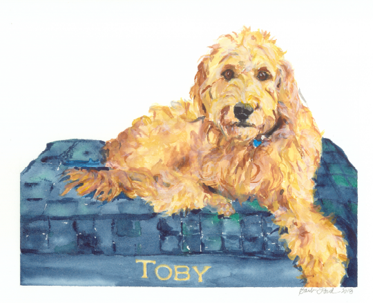 Toby.png