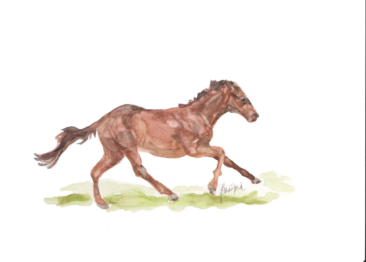 Race Horse
