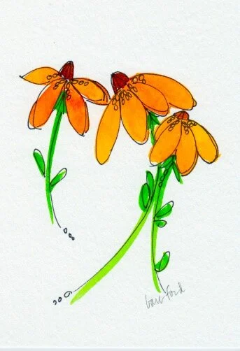 Bright Black Eyed Susans.jpeg