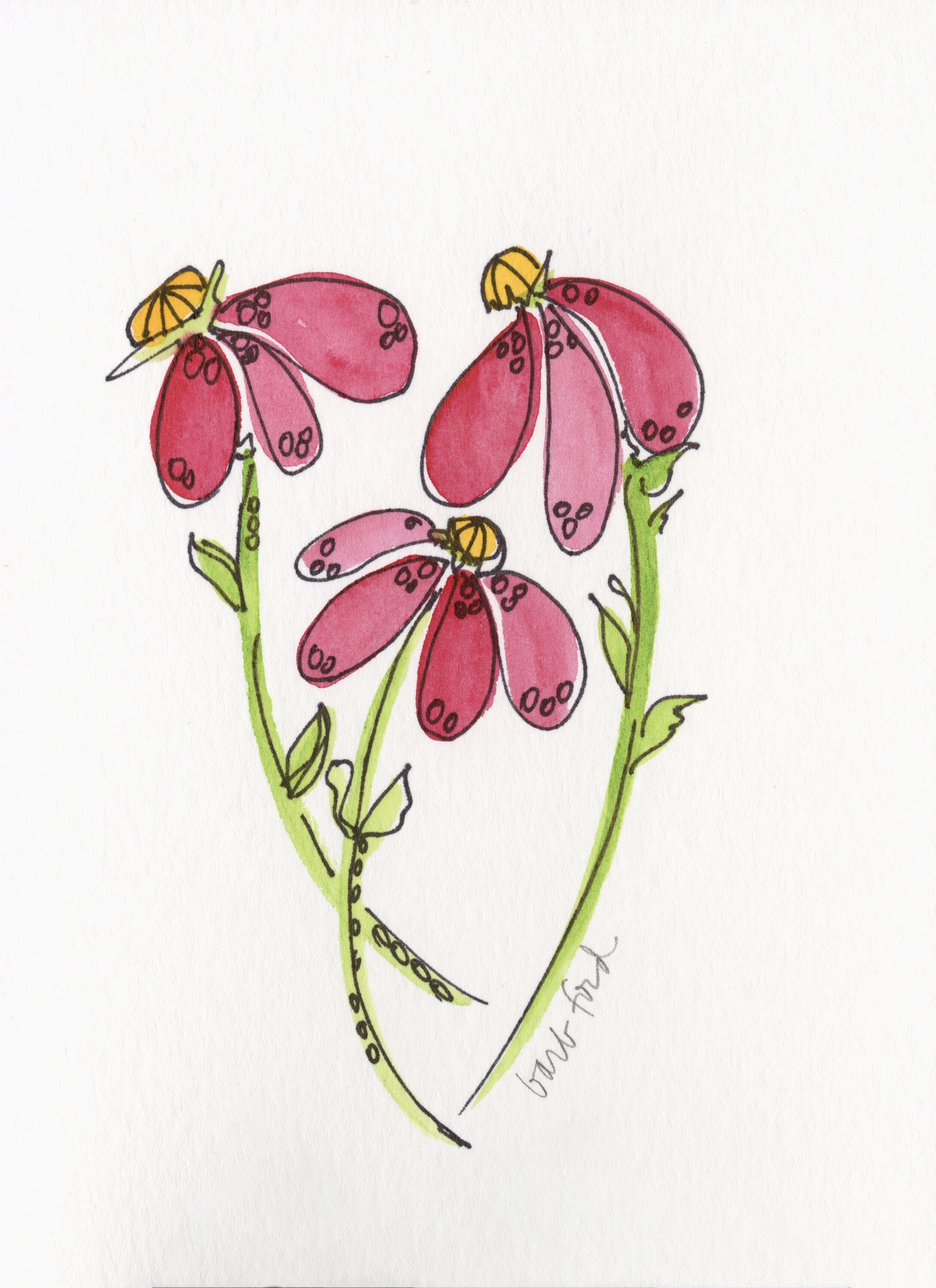 Crazy Pink Daisy.jpeg