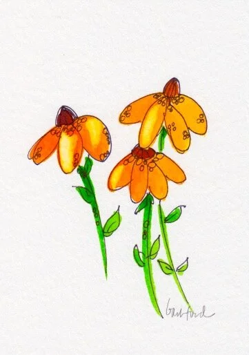 Bright Black Eyed Susan 2