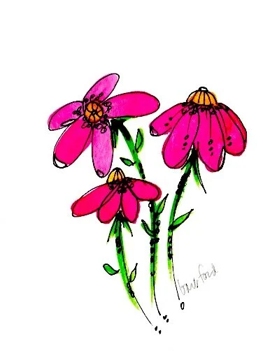 Crazy Bright Pink Daisy.jpeg