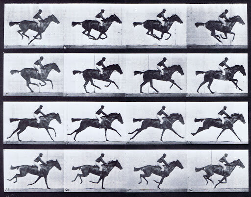  Eadweard Muybridge  Animal Locomotion, Plate 626  (1887) Collotype 19 x 24 in. 