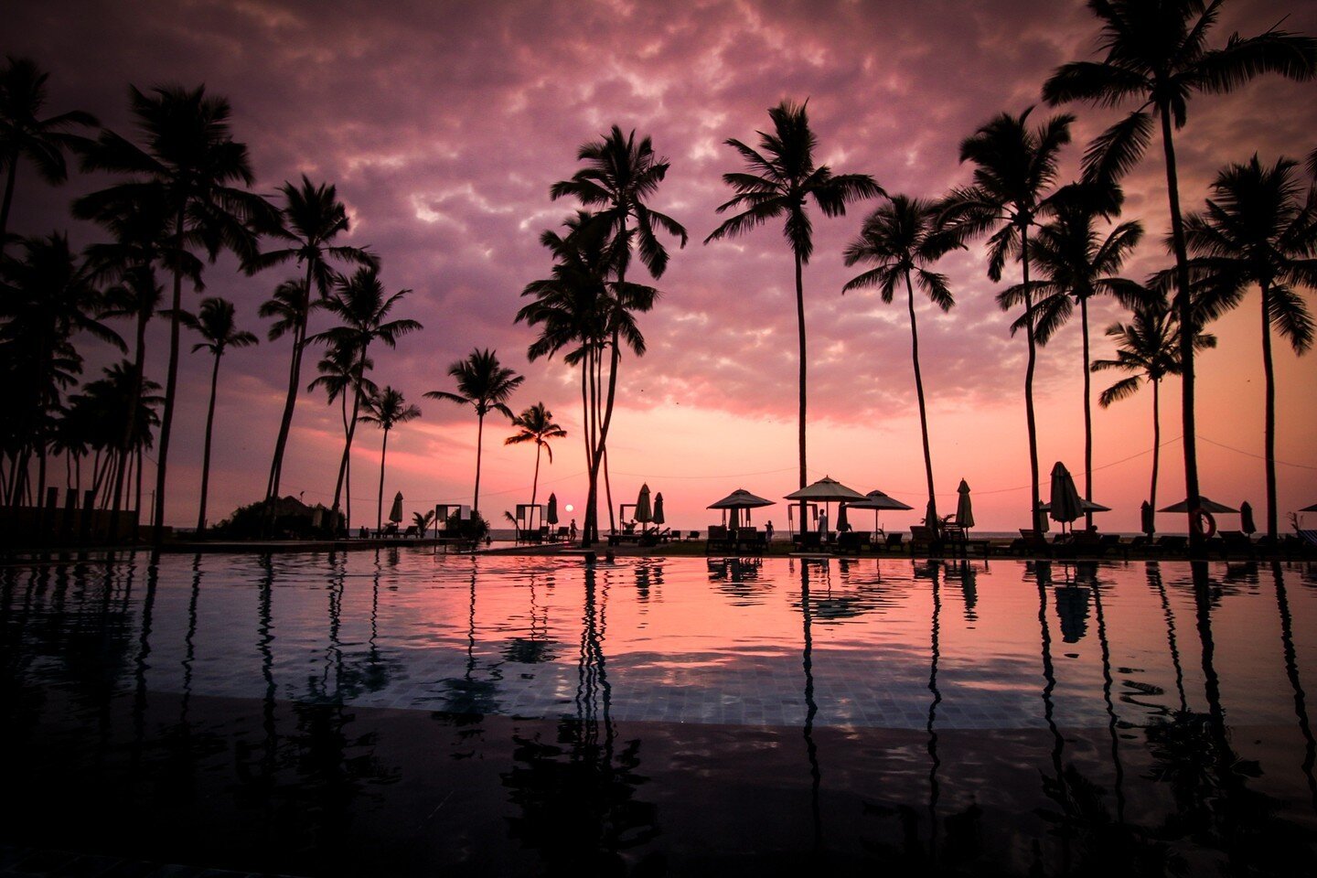 Happy September &amp; Long weekend 🌴 🥂⠀⁠
.⠀⁠
.⠀⁠
.⠀⁠
.⠀⁠
.⠀⁠
.⠀⁠
#helloseptember #TGIF #september #longweekend #friday #labourdayweekend #september1 #backtoschool⁠
.⠀⁠
.⠀⁠
.⠀⁠
.⠀⁠
.⠀⁠
.⠀⁠
#destinationweddingspecialist  #palmtrees  #yyz #destination