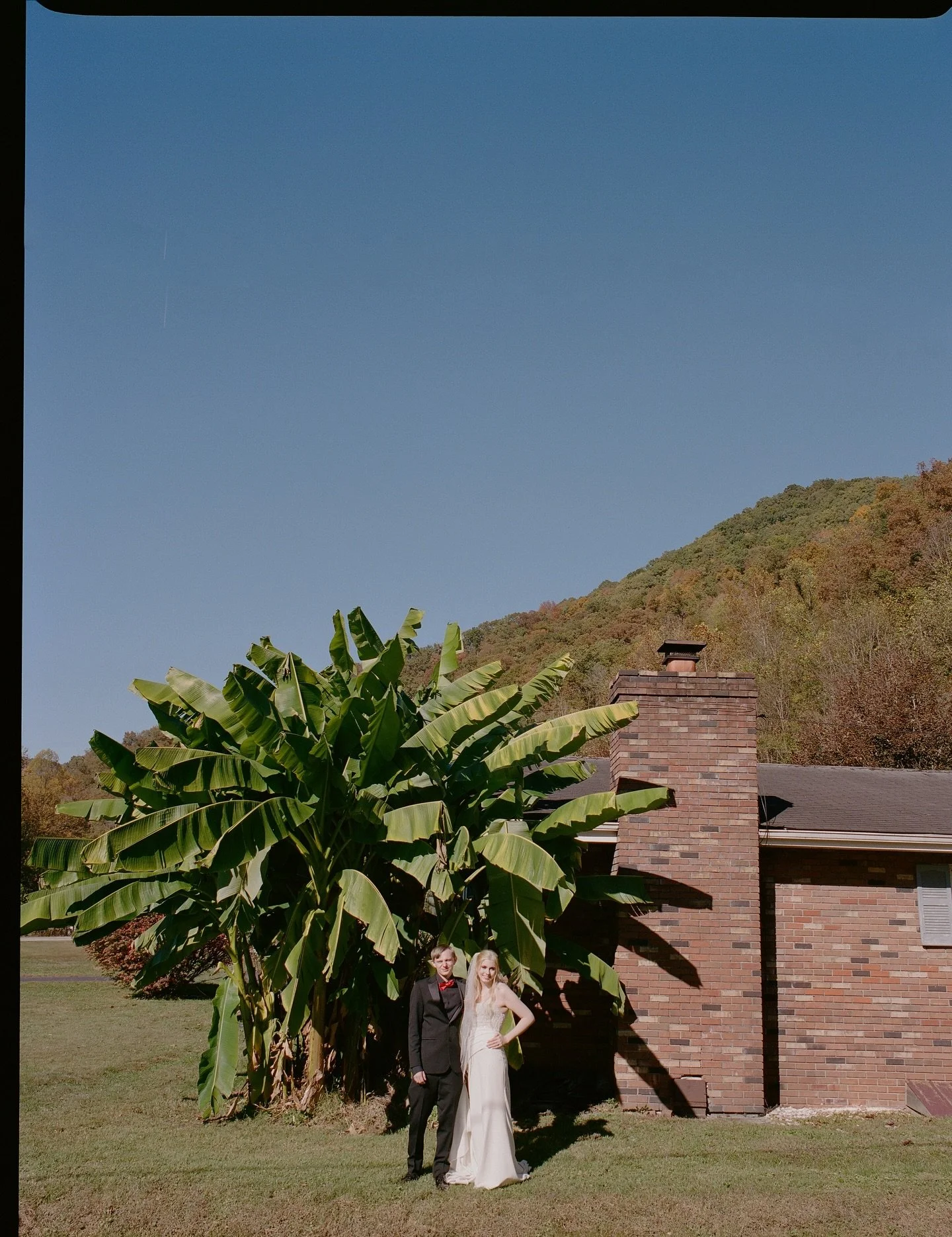 Payton &amp; Abby surrounded by greenery.🌿

&bull; mix of color medium format 120 film &amp; black/white 35mm film

dakotaburnsphotography.com

📍Madison, WV