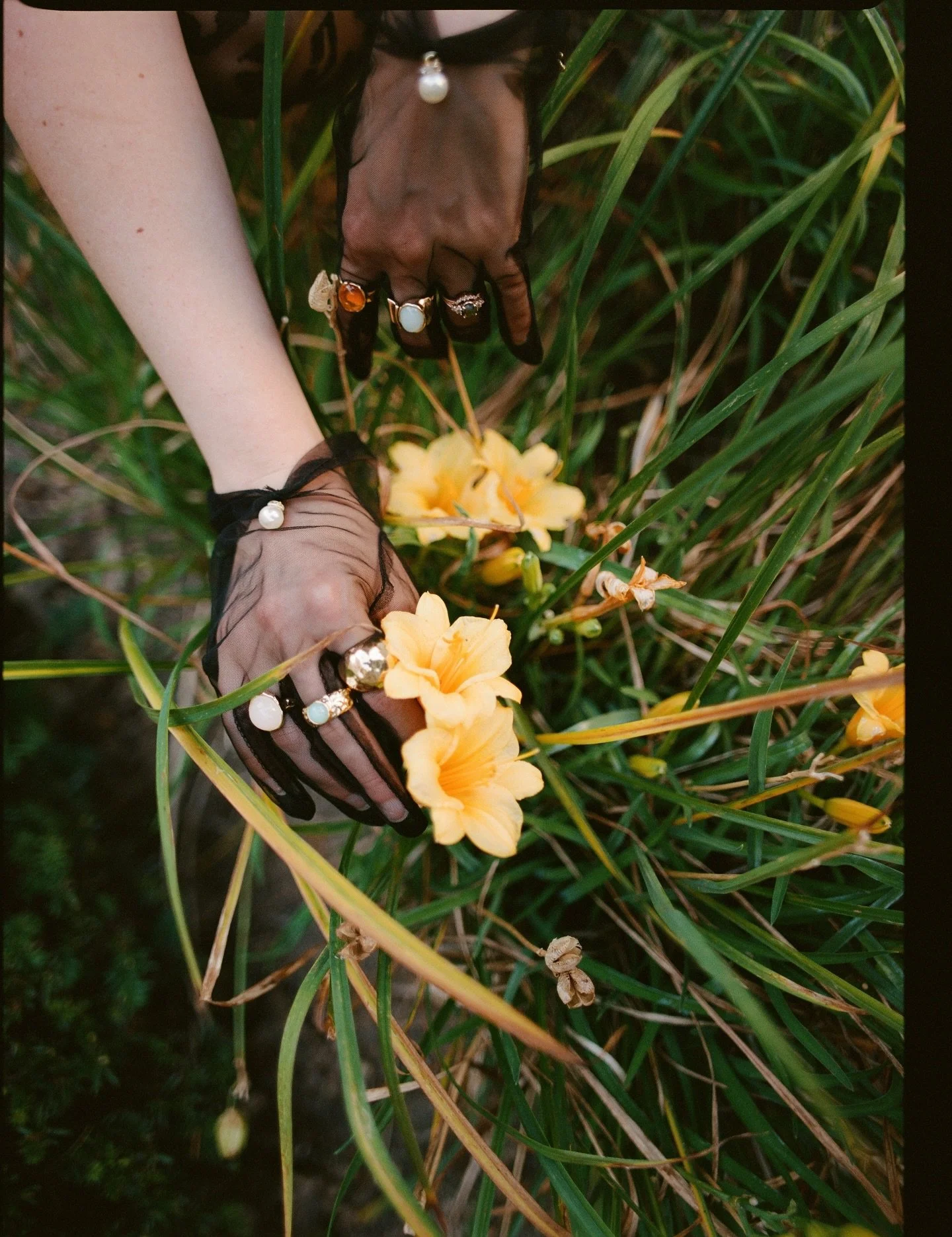 Details from the summer of 2025.🌼

&bull; medium format 120 film 

dakotaburnsphotography.com

📍Huntington, WV