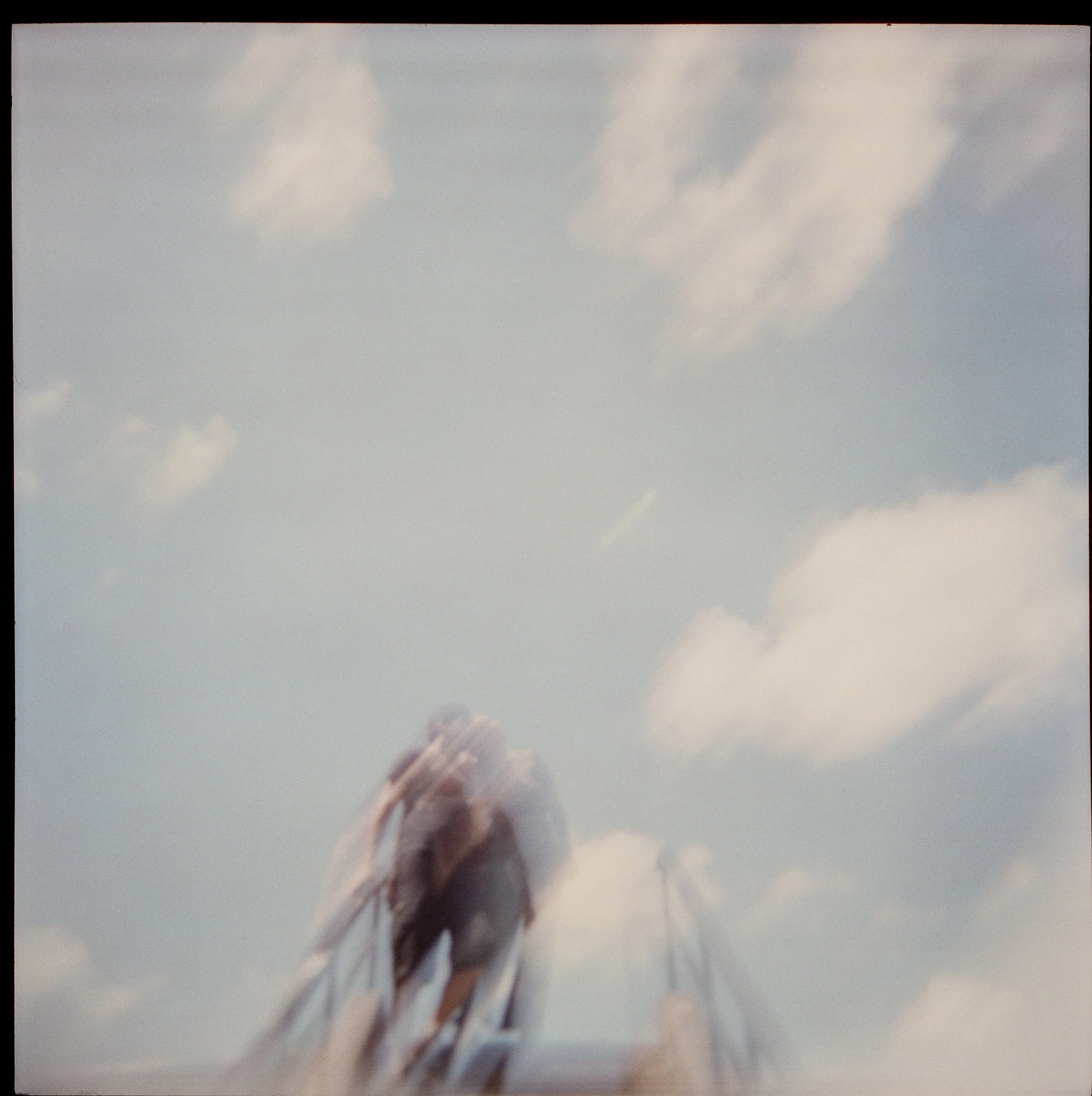 film forward wedding photographer edgy chic 120 film 35mm editorial fashion dakota burns photography dakotaburnsphotography couples wv West Virginia destination NYC LAX california worldwide vogue NYMM new york marriage magazine elopements unconventio