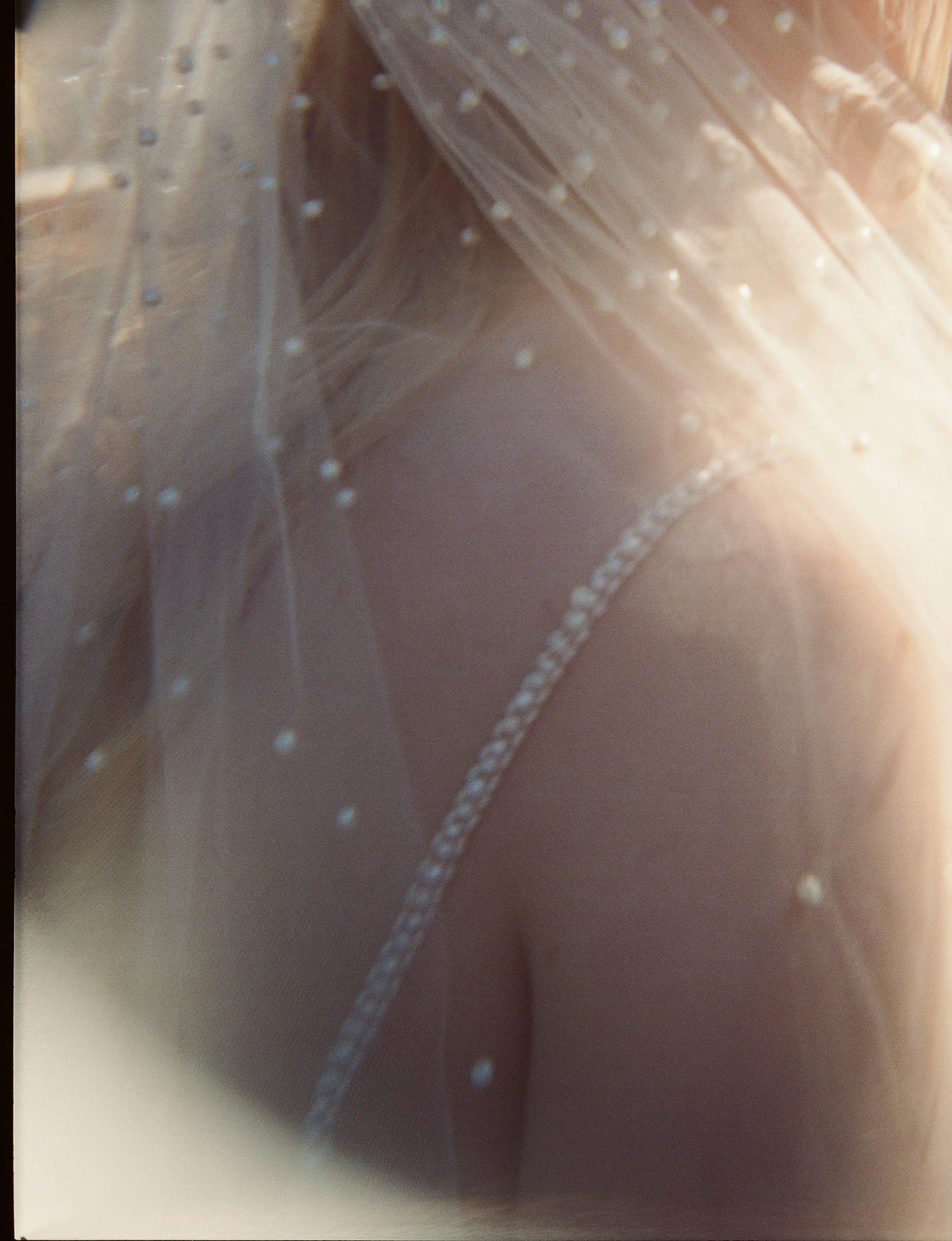 wv wedding medium format 120 film mystical vibes editorial dakota burns photography west virginia