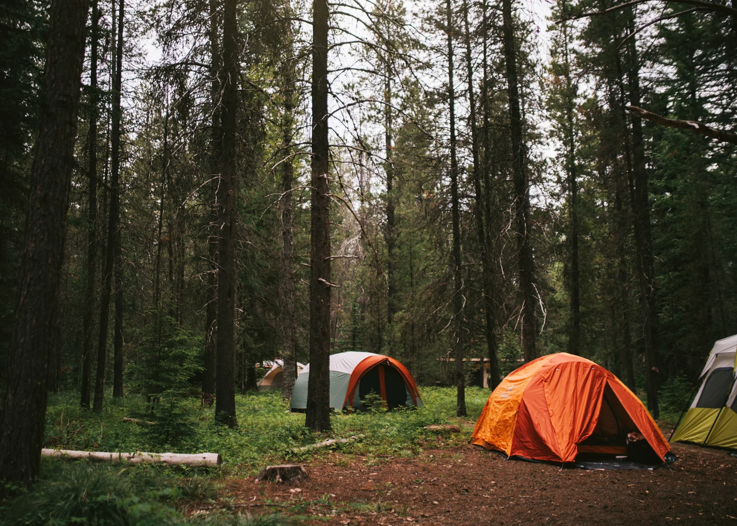 2018-06-18 GlacierNationalPark 38 copy.jpg