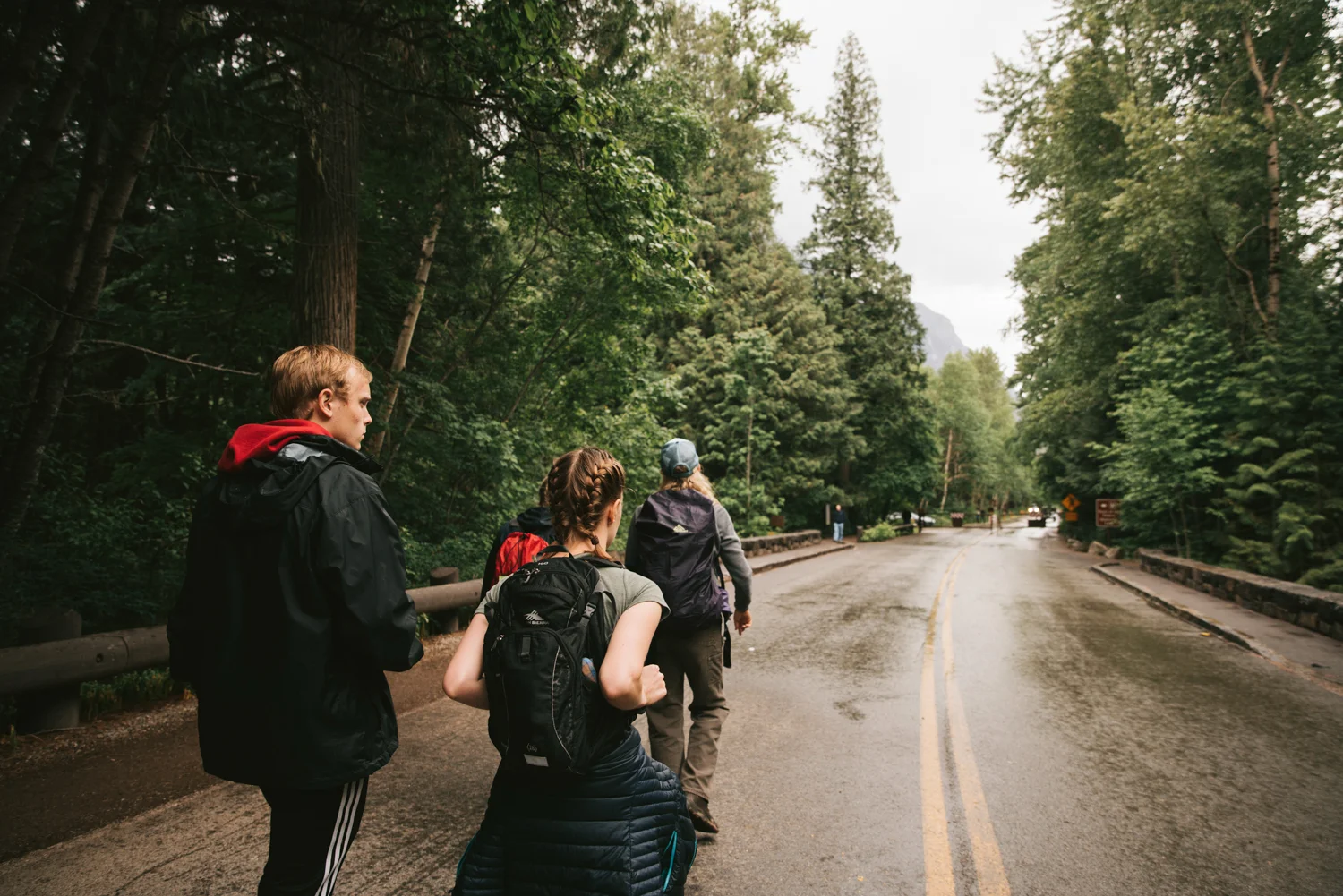 2018-06-18 GlacierNationalPark 101 copy.jpg
