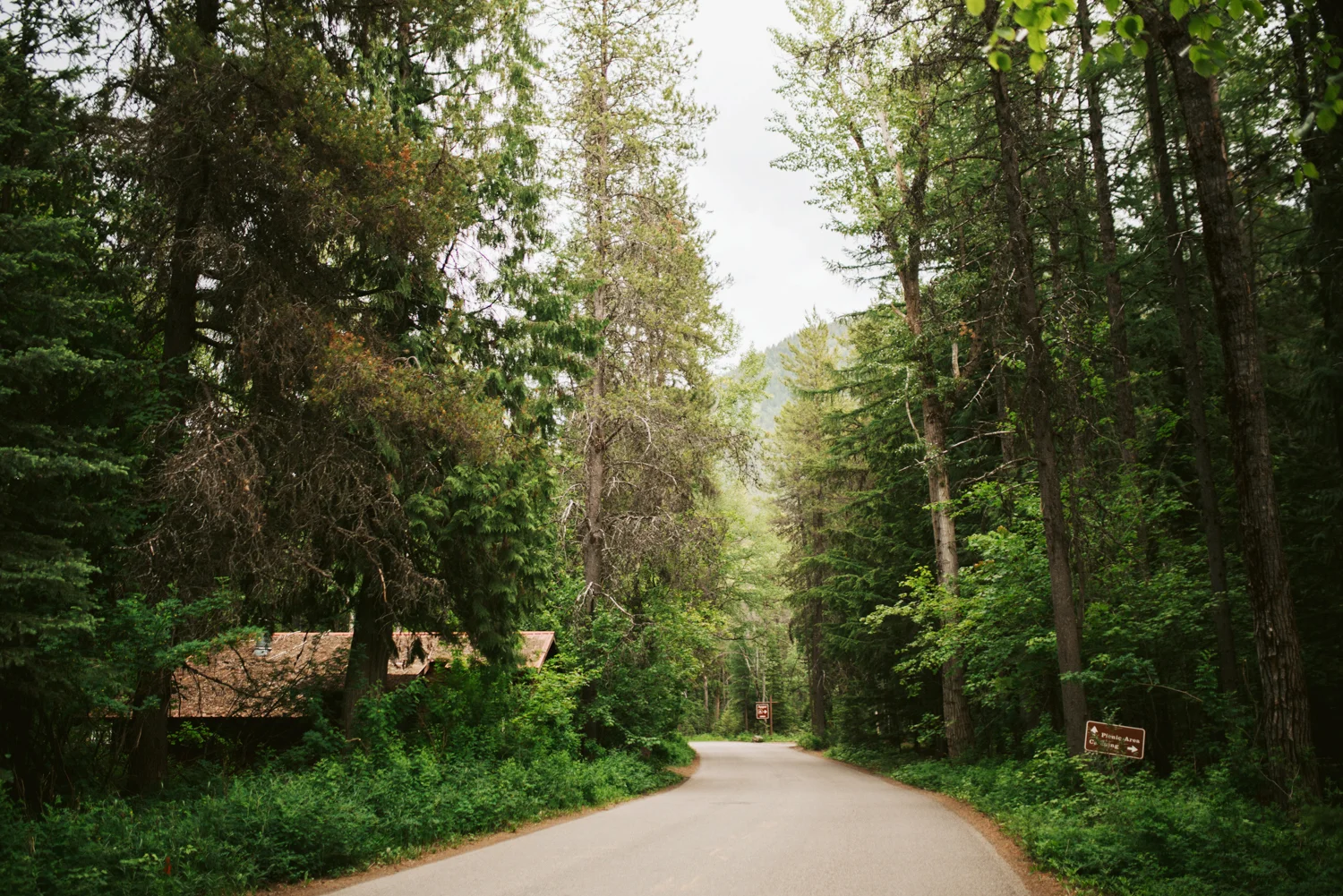 2018-06-19 GlacierNationalPark 270 copy.jpg