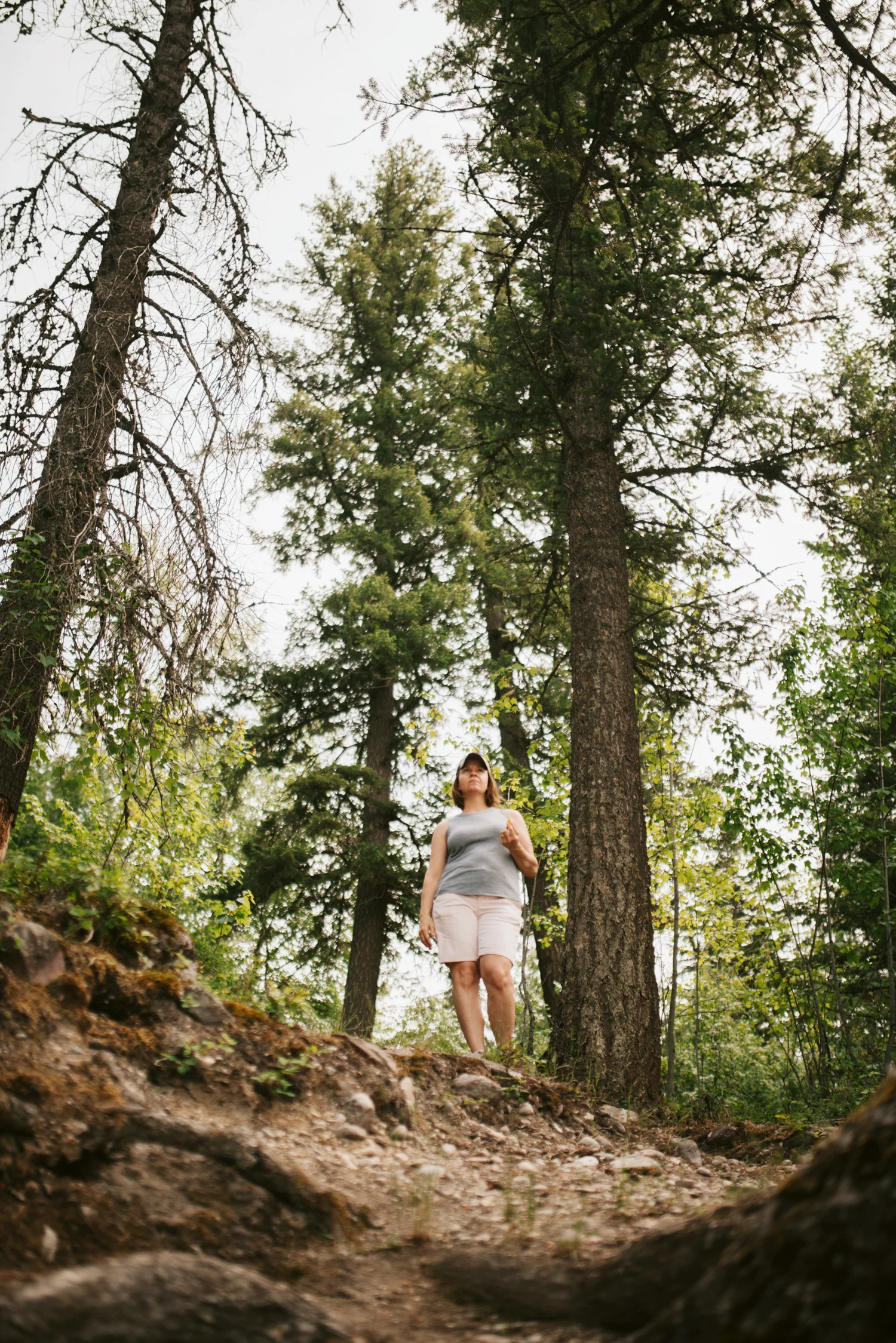 2018-06-21 GlacierNationalPark 347 copy.jpg