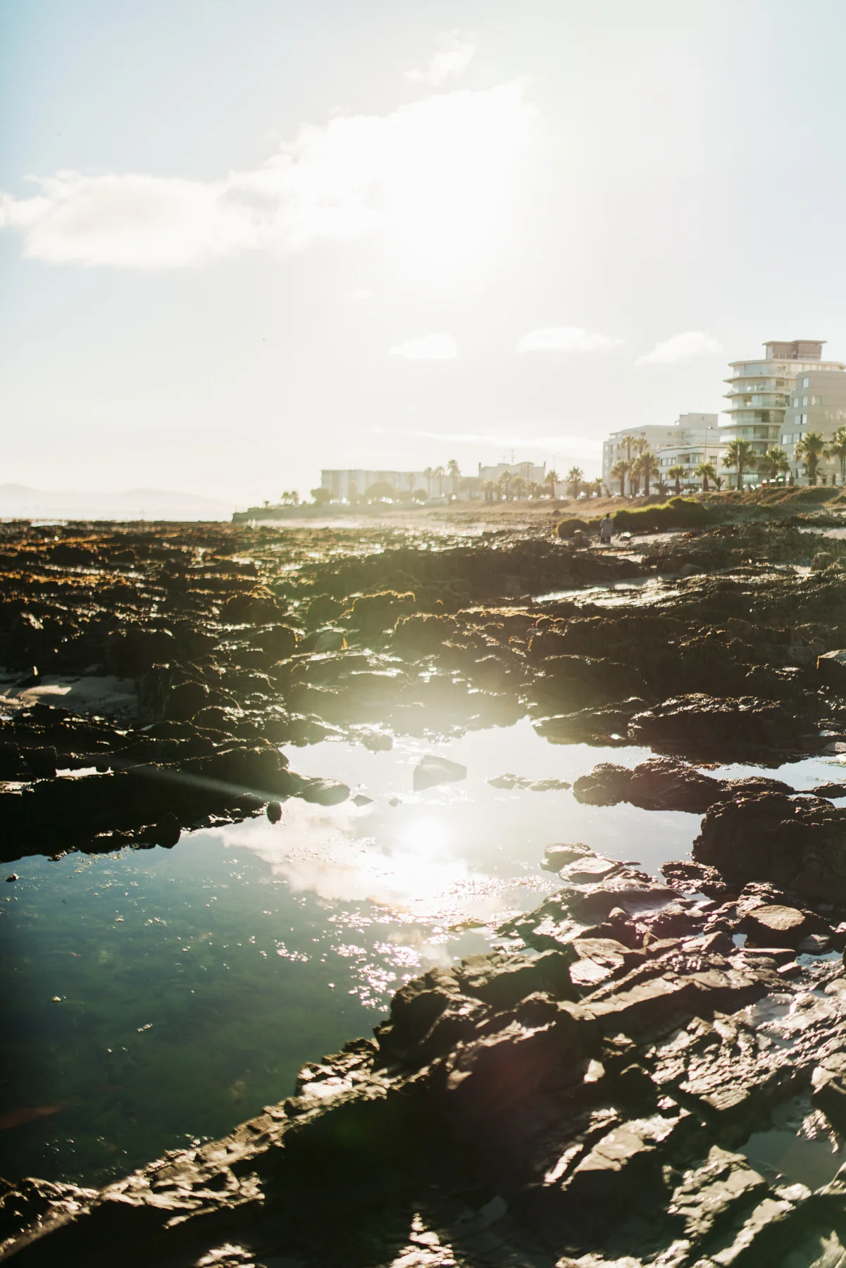 2018-2-15 Cape Town WEB SIZE (63 of 137).jpg