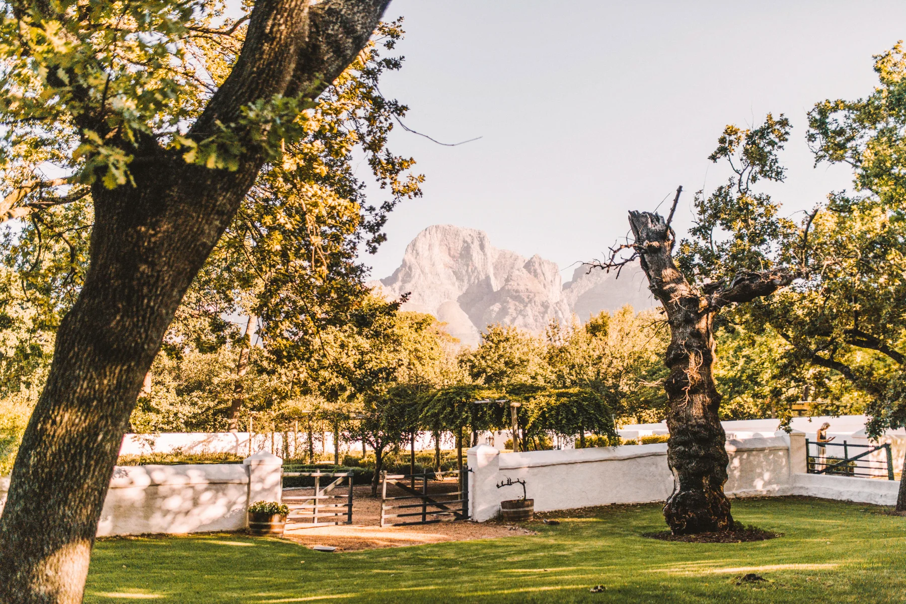 2018-2-15 Cape Town WEB SIZE (73 of 137).jpg