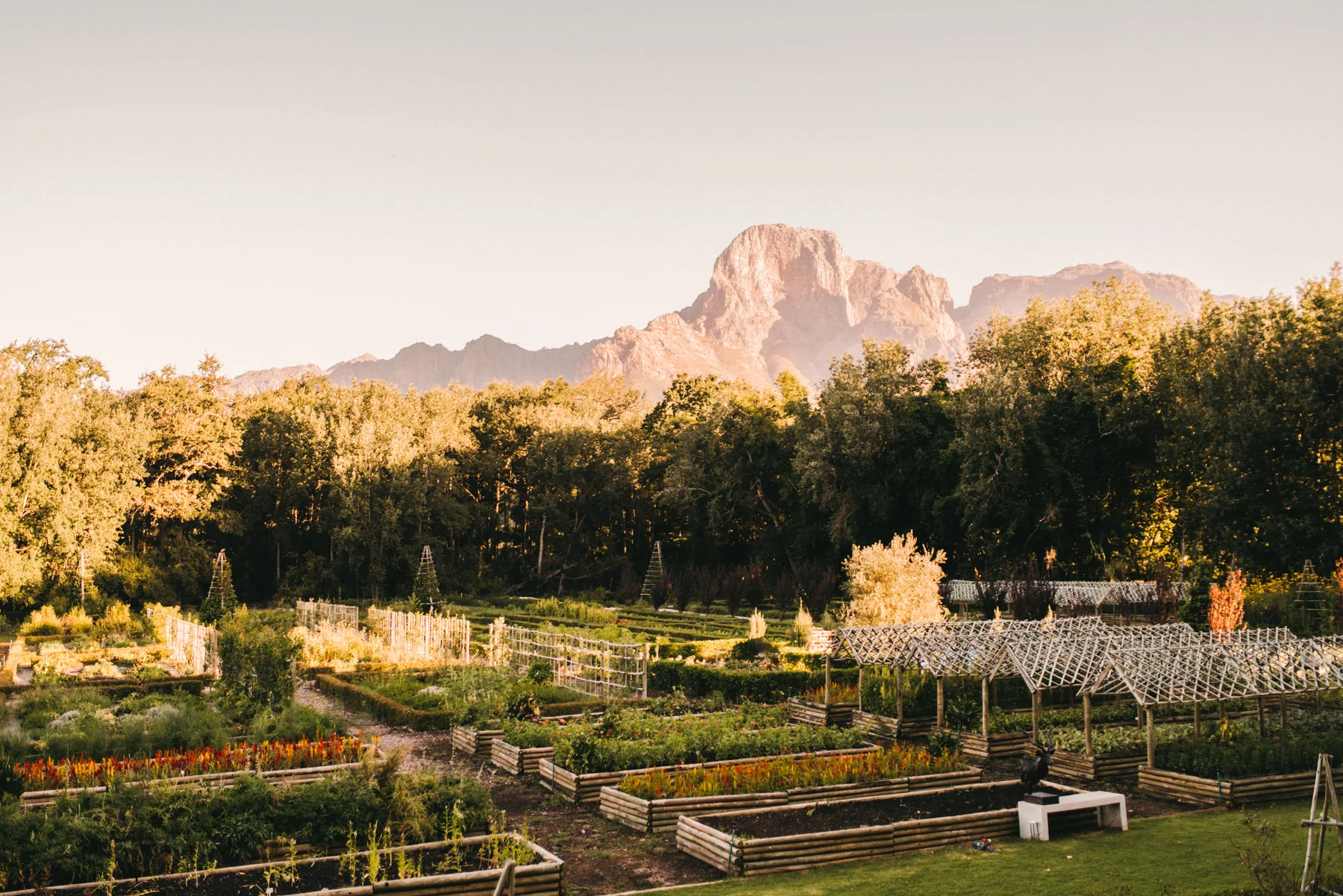 2018-2-15 Cape Town WEB SIZE (97 of 137).jpg