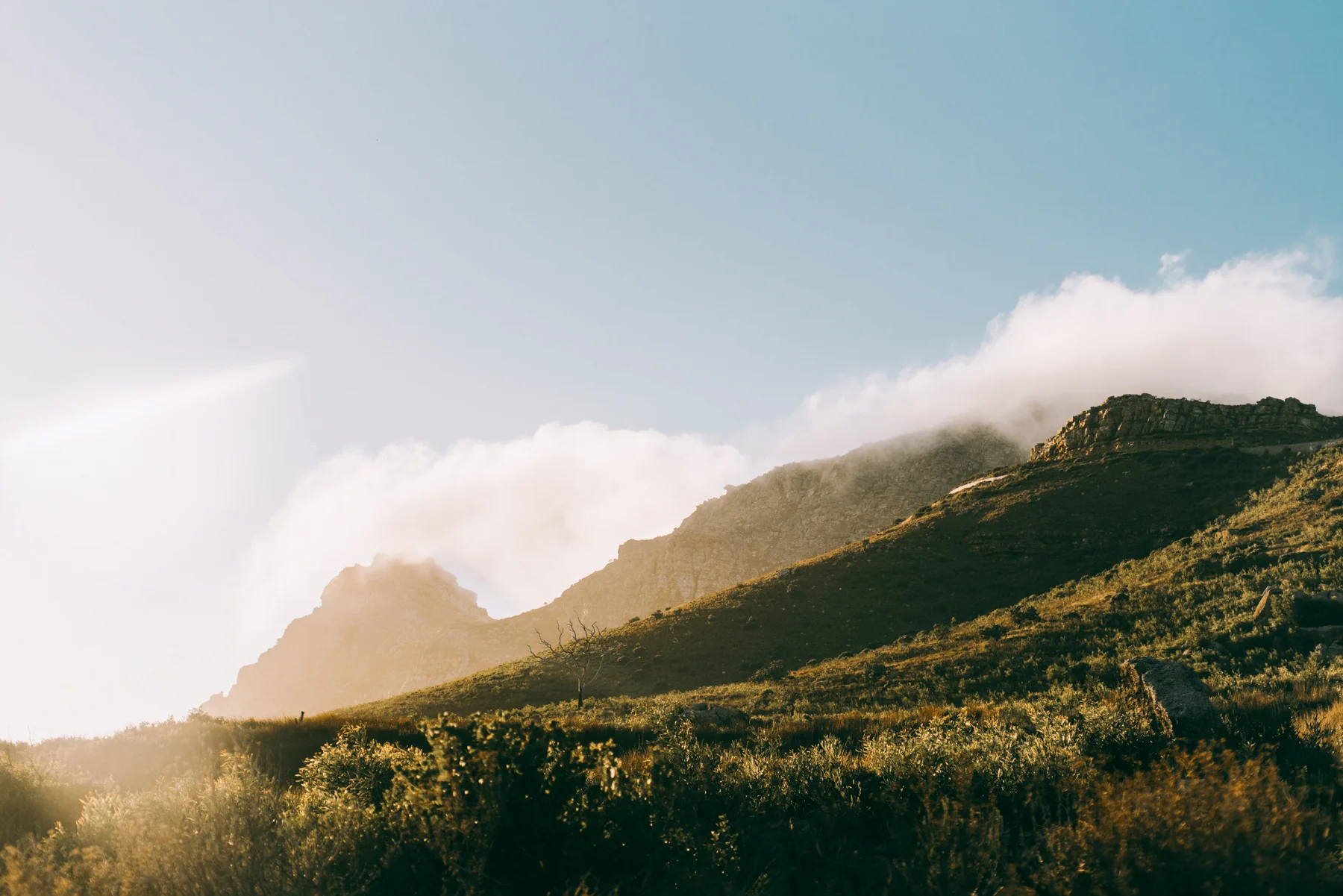 2018-2-15 Cape Town WEB SIZE (107 of 137).jpg