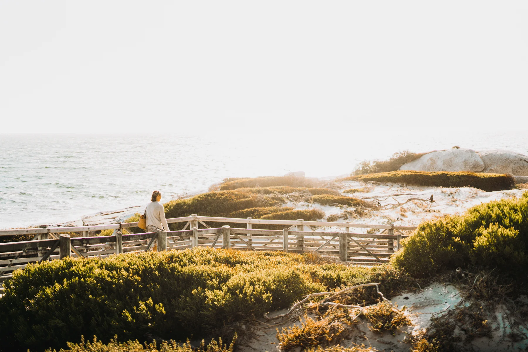 2018-2-15 Cape Town WEB SIZE (129 of 137).jpg