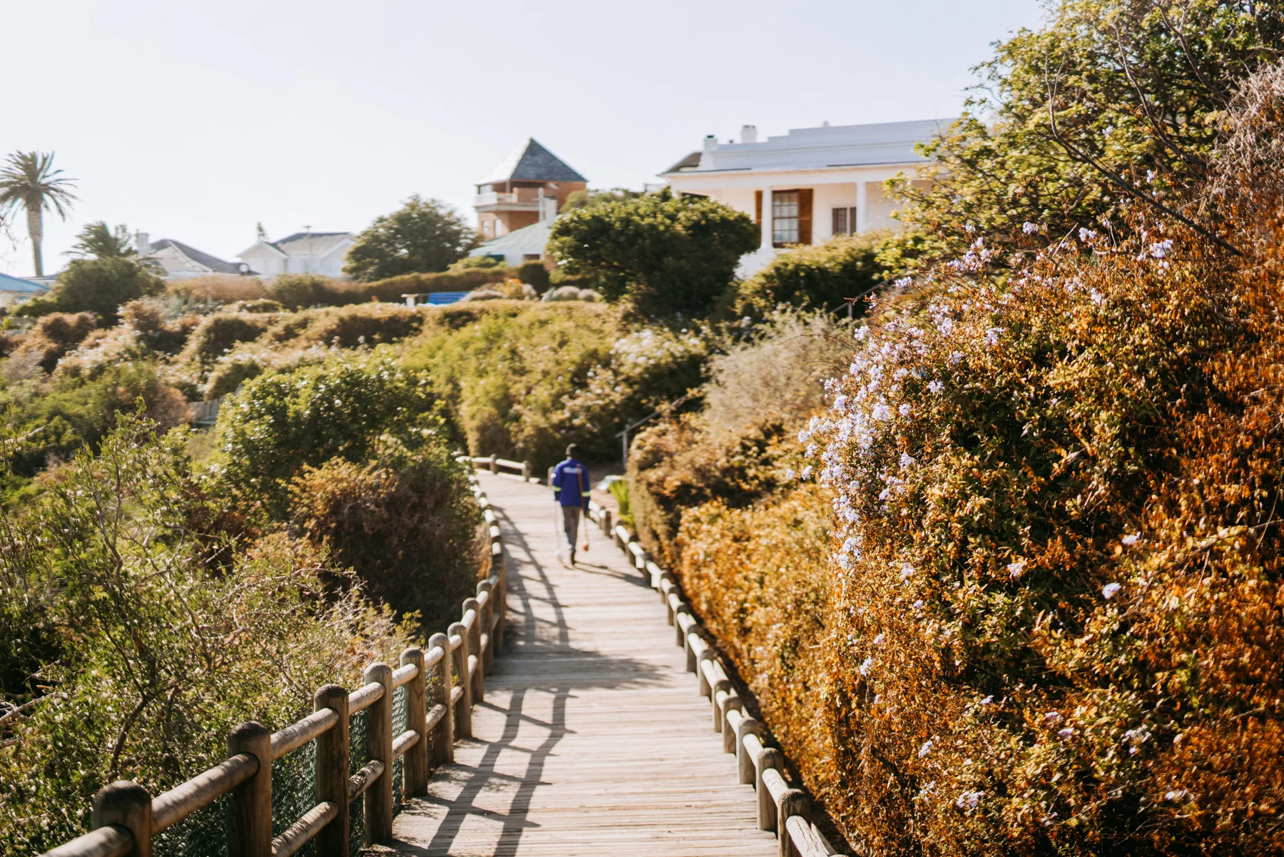 2018-2-15 Cape Town WEB SIZE (131 of 137).jpg