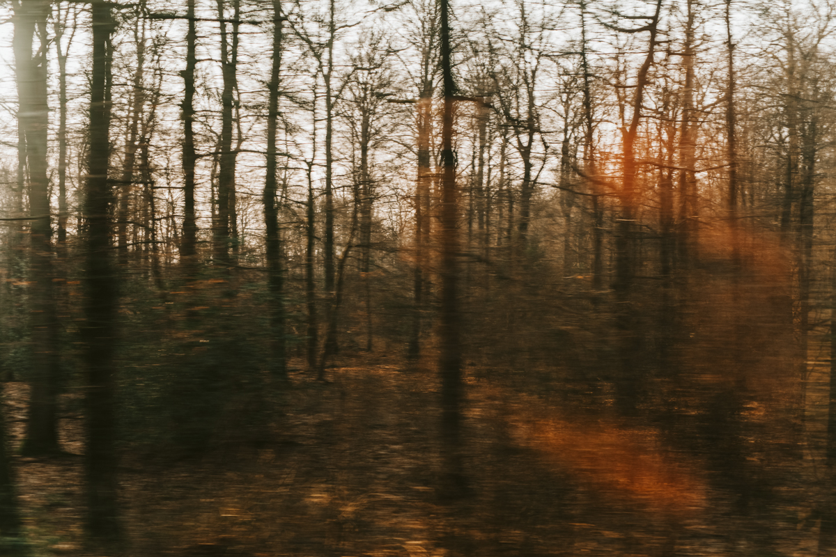 2018-03-03 Berlin 2.jpg