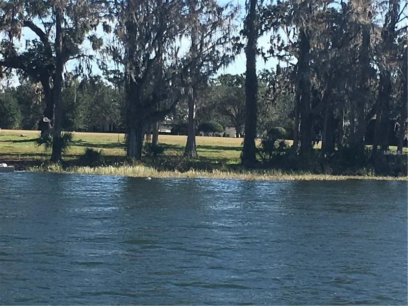 1119 Preserve Point Dr, Winter Park