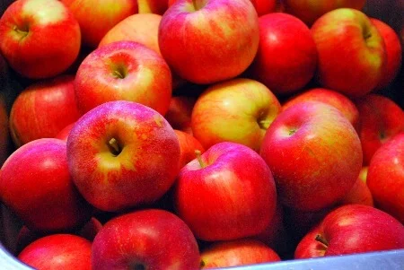 bunch_of_apples.jpg
