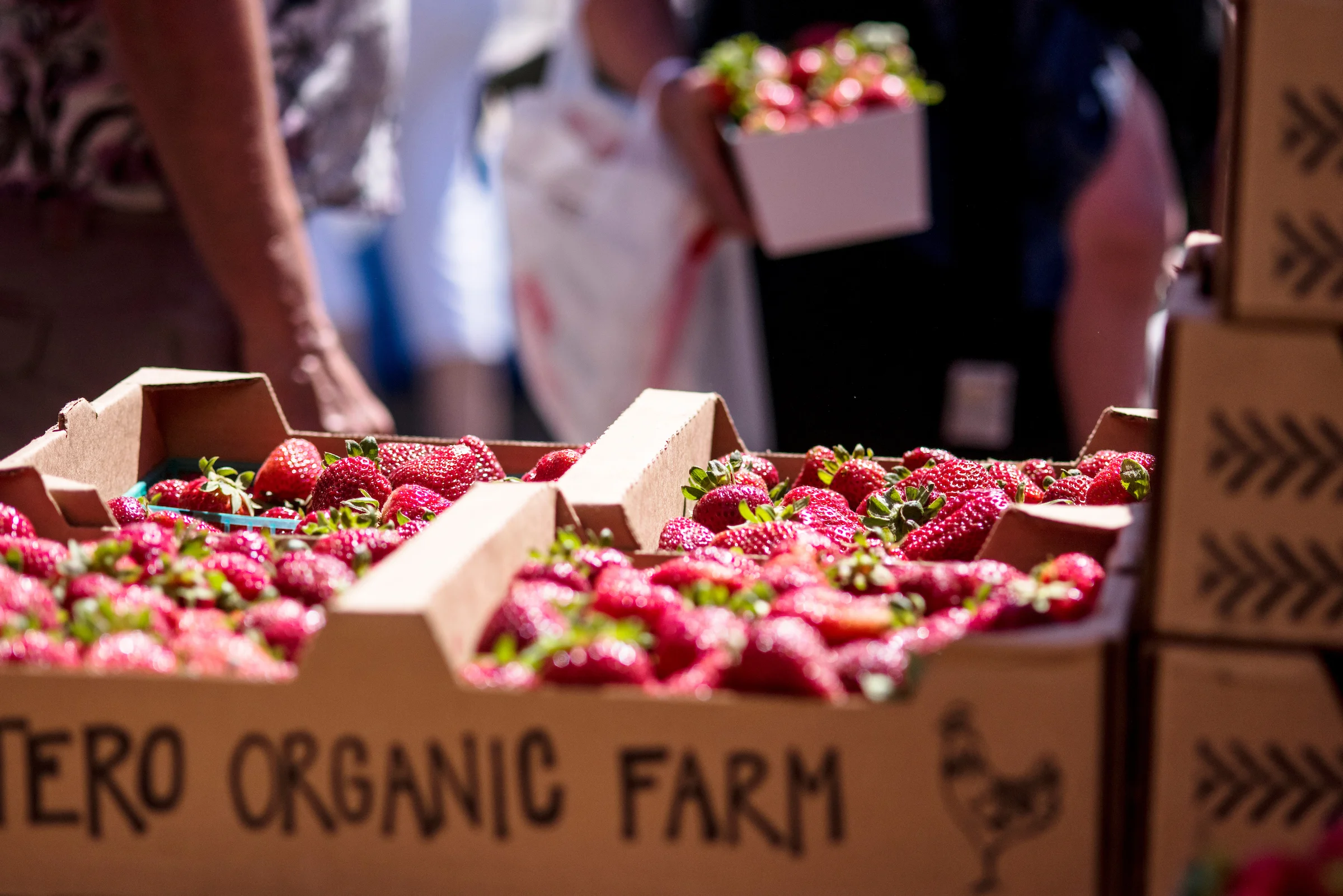 Stroll across the street to the bustling Marin County Mart.