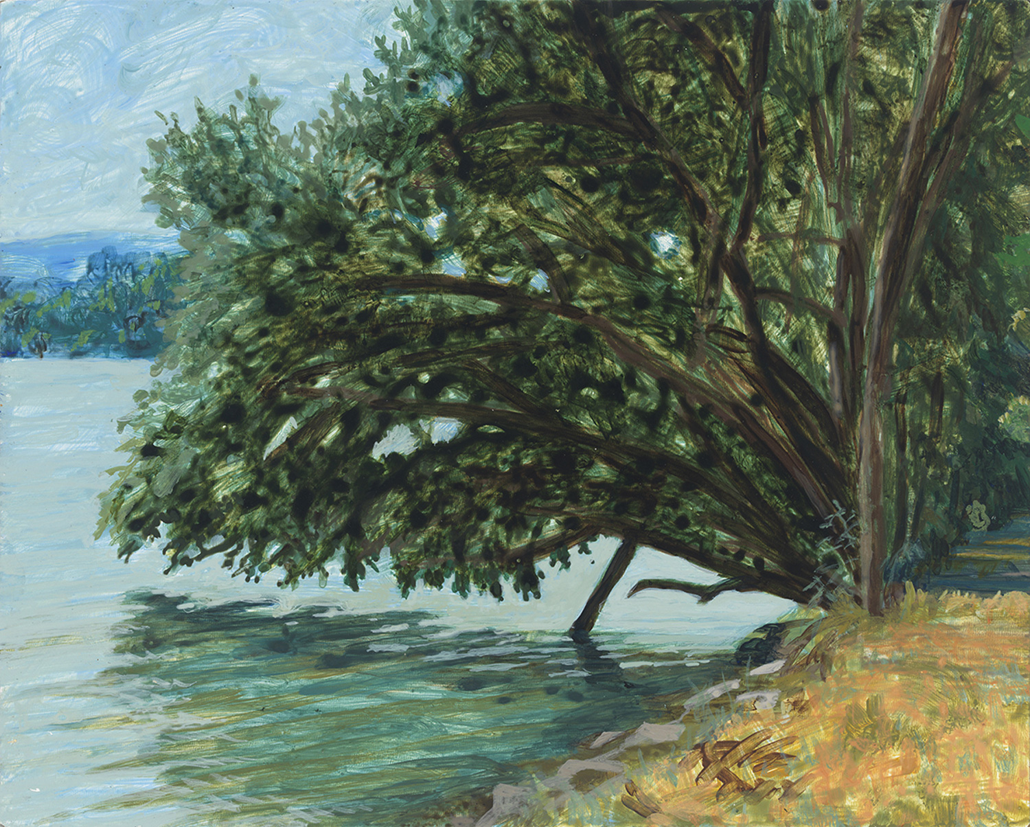 Beaver Site on the Danube