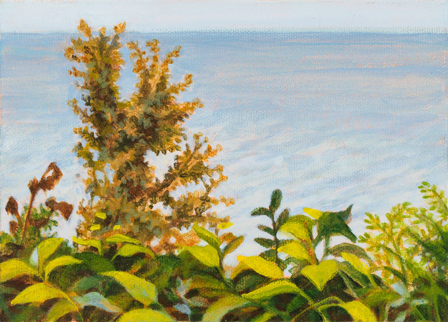 New Buffalo Michigan, 1996, acrylic on canvas, 5" x 7"
