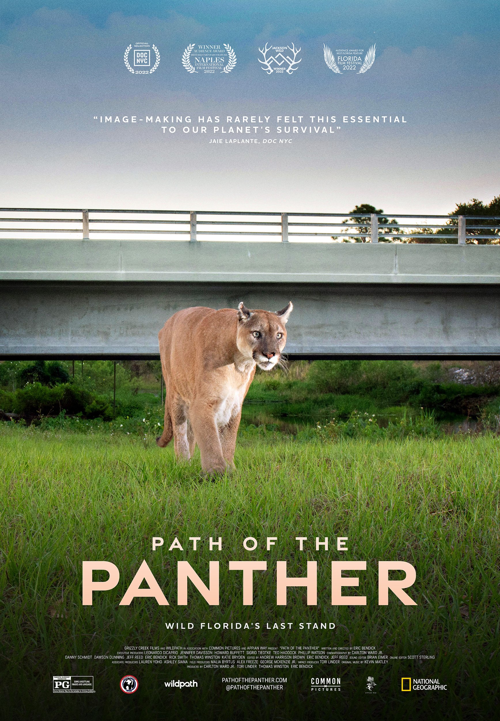 Path Of The Panther - Kevin Matley