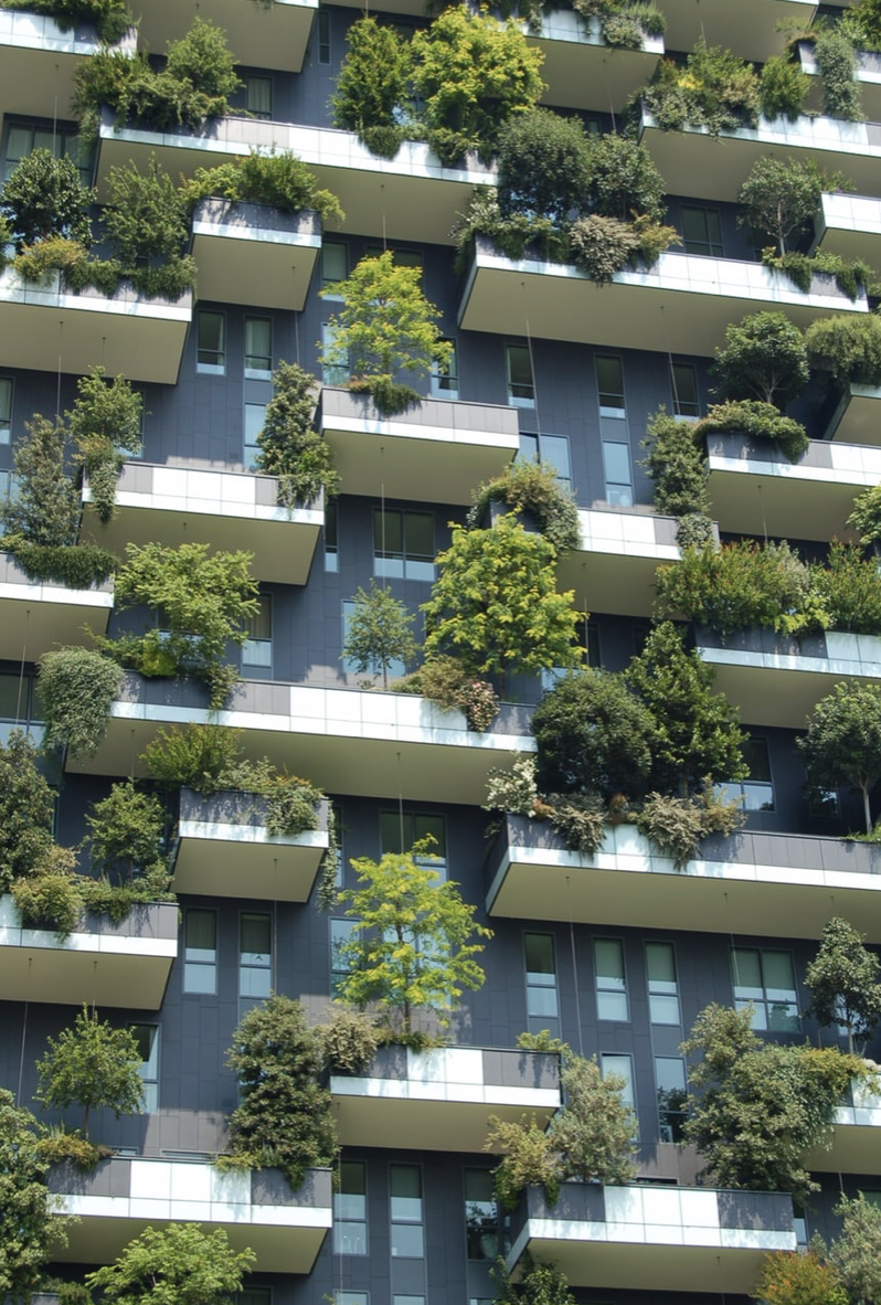 How Sustainability is Changing Lives