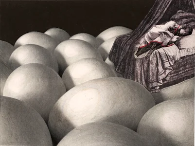 eggs-bed.jpg