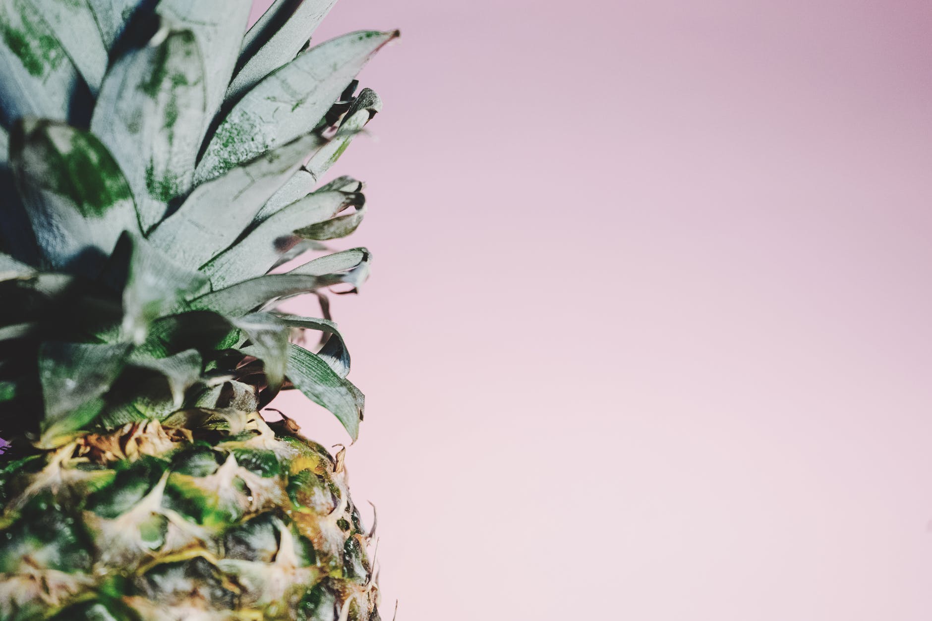 Pineapple.jpeg