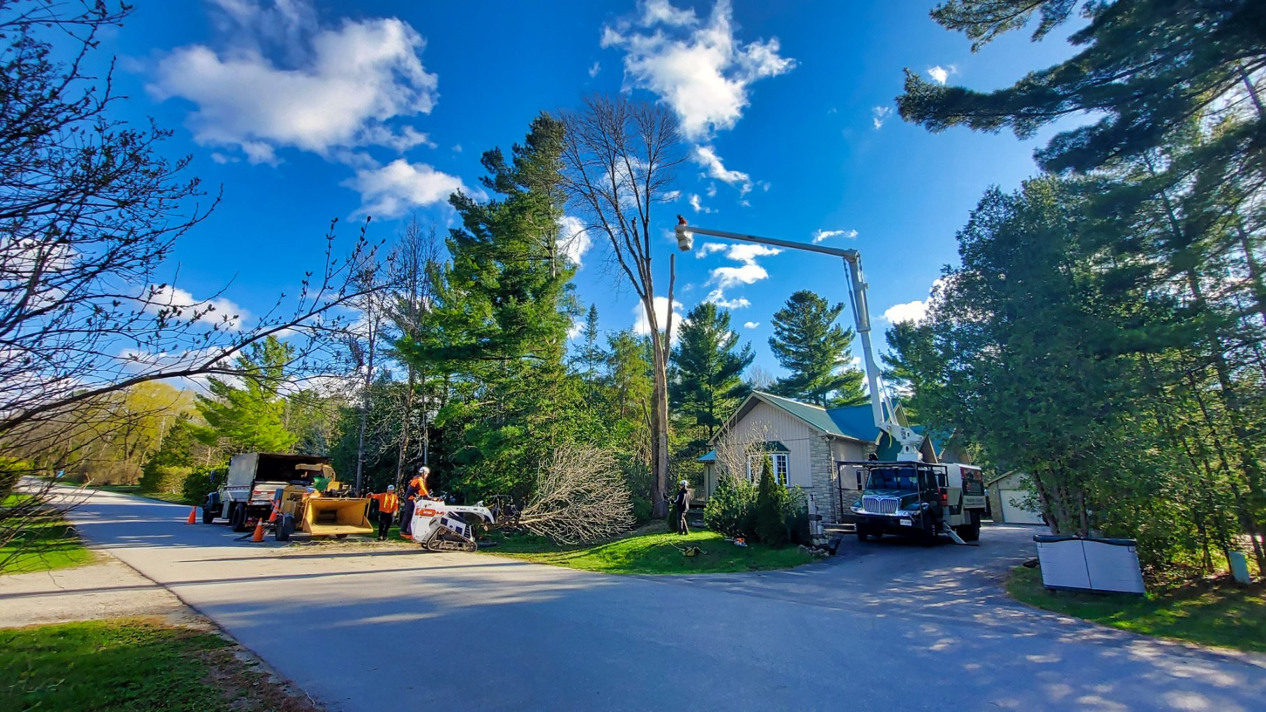  HIRE TRAINED &amp; EQUIPPED TREE CARE PROFESSIONALS    BOOK NOW   