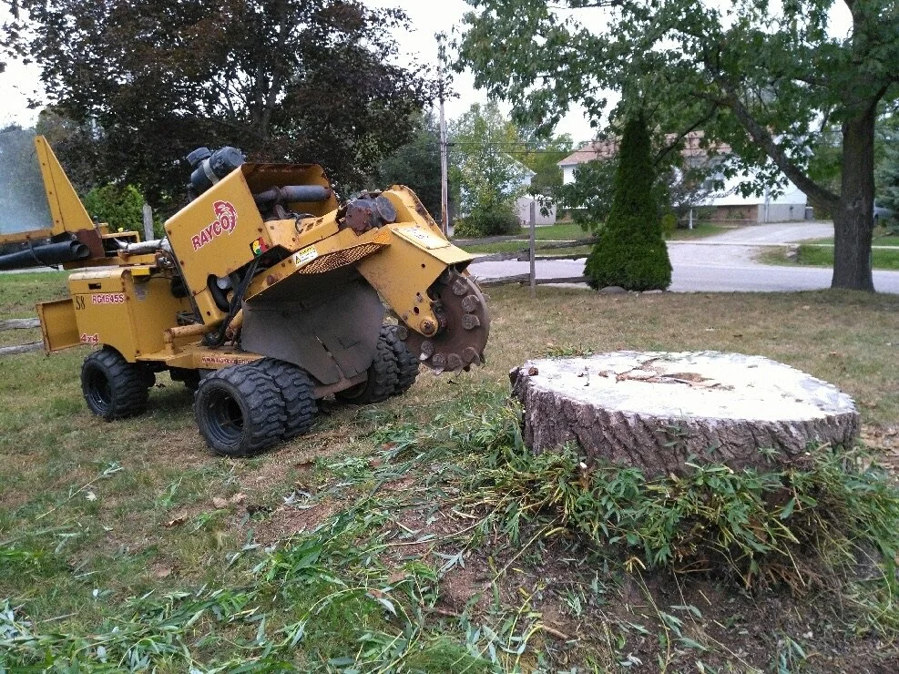  UNSIGHTLY STUMP CAUSING YOU GRIEF?    BOOK NOW   