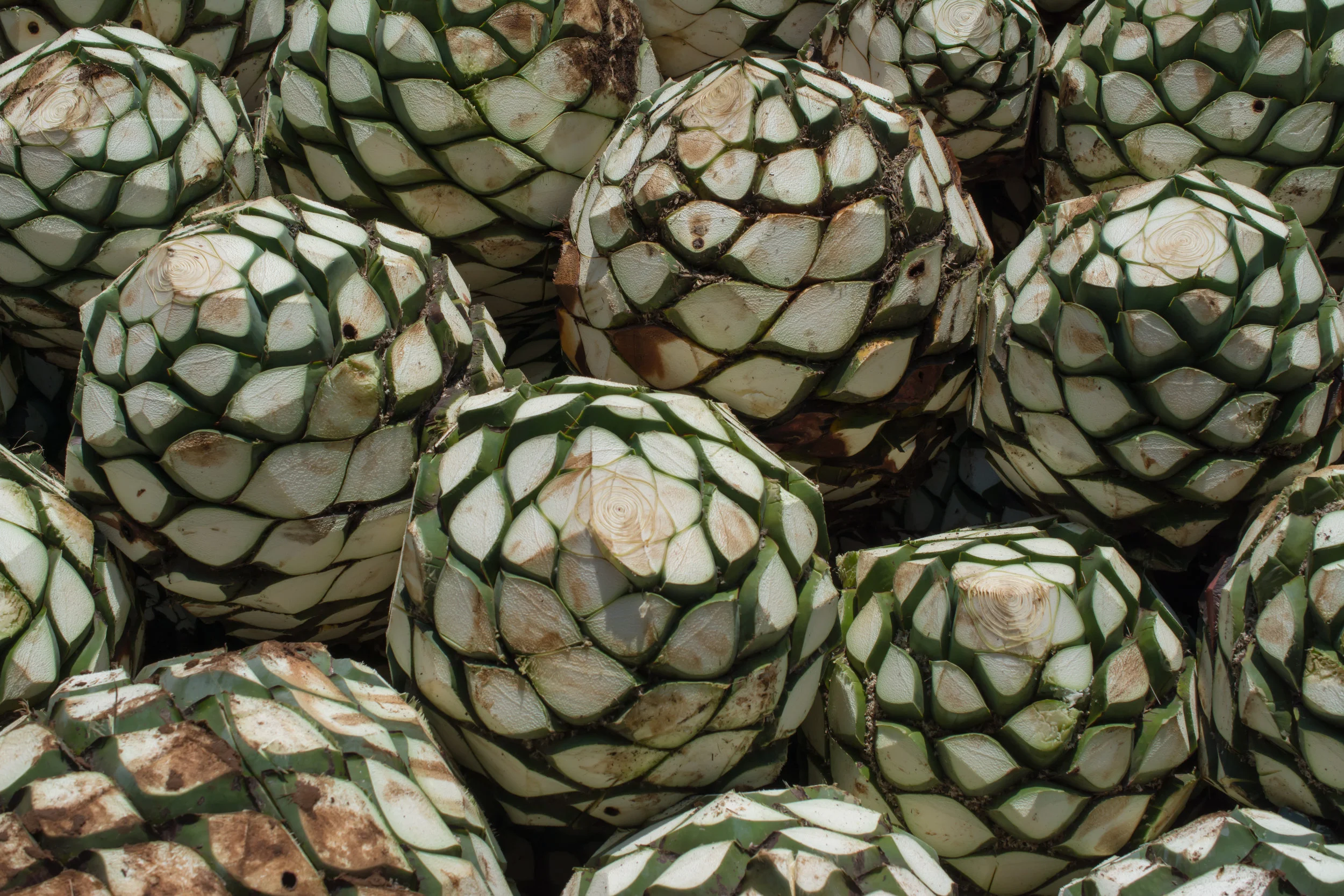Mezcal as Food, Beverage, & Heritage | Part 1