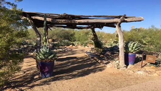 Agave Garden Tours_image008.jpg