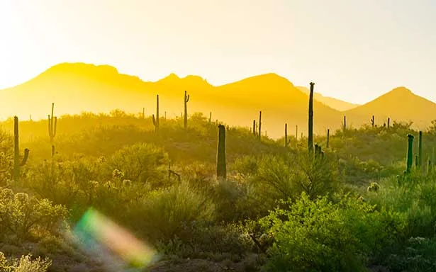 Agave Summit and Brunch Aravaipa Farms.jpg