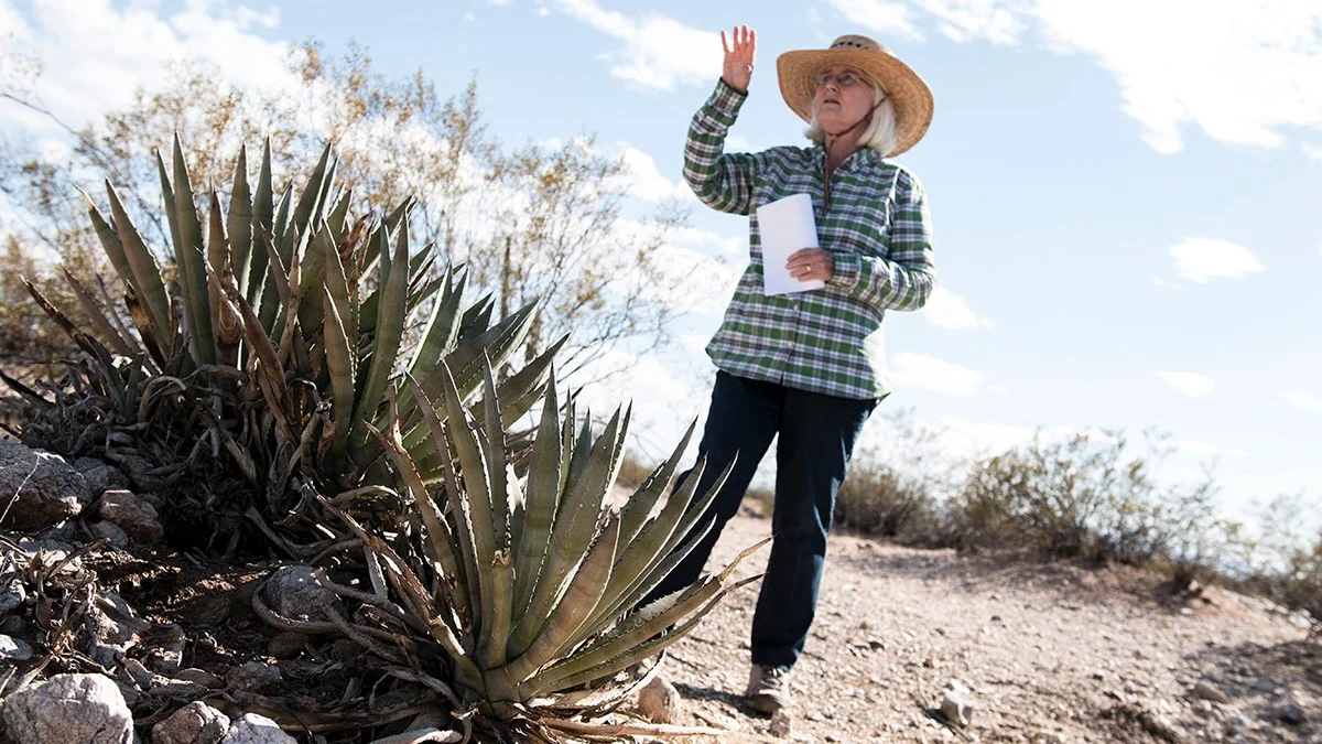 Hohokam+Agave+Tour_Suzanne+Fish_sized.jpg