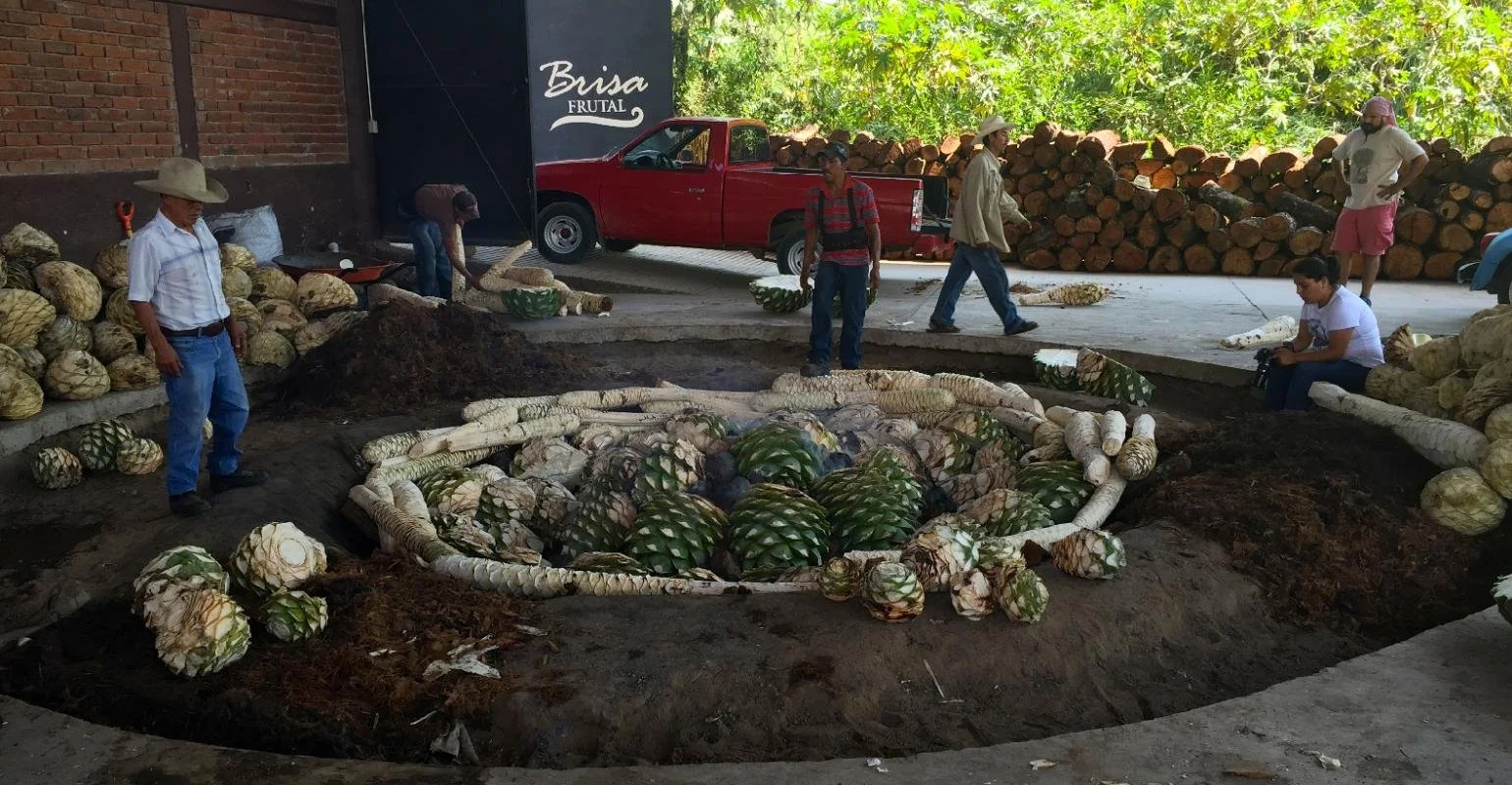 Nation's Restaurant News: Agave spirits continue to grow in popularity