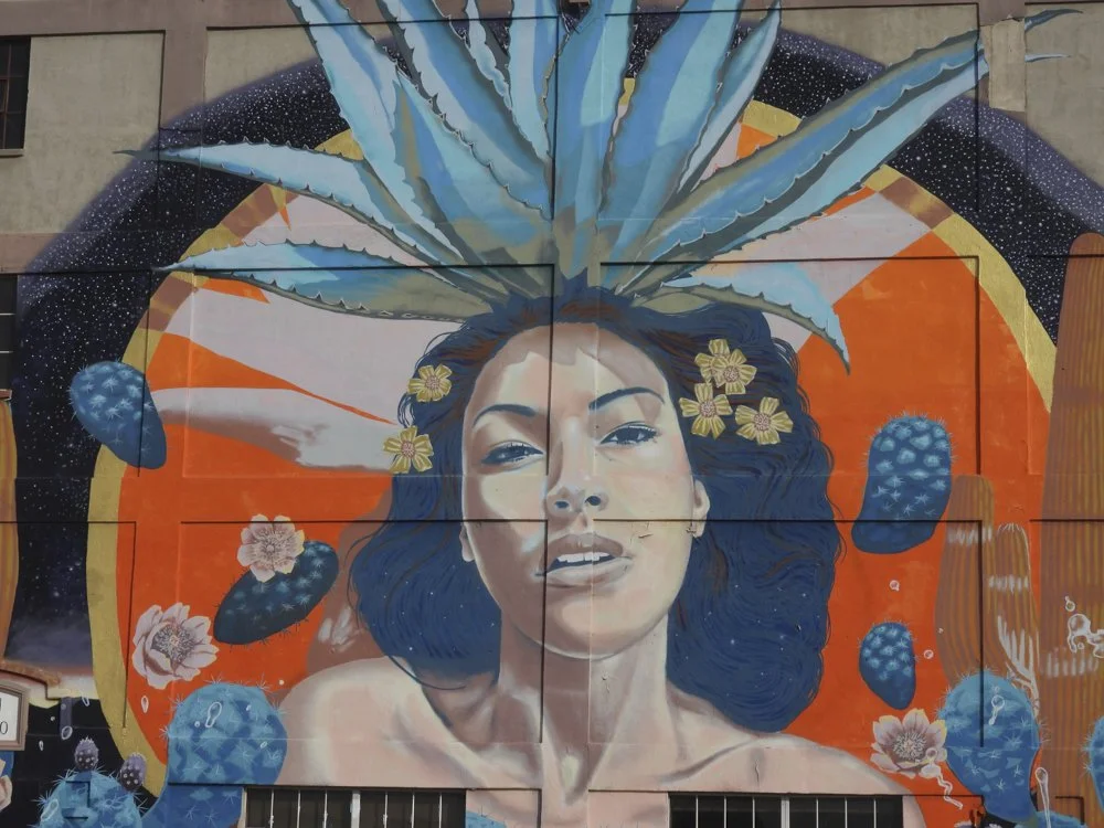 Agaves and Slow Agriculture in the Laboratory for the Future of Food in a Climate-Changed World — Gary Paul Nabhan