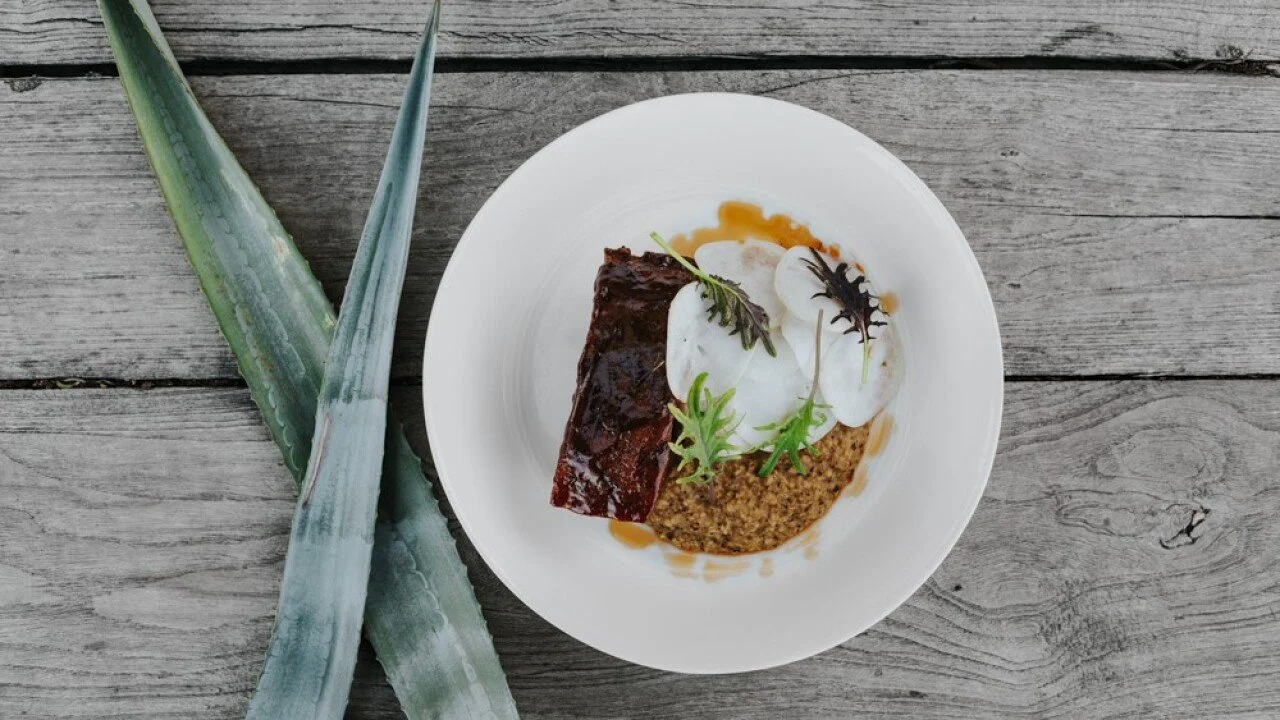 KGUN9: Agave Heritage Festival in Tucson, "The City of Century Plants"